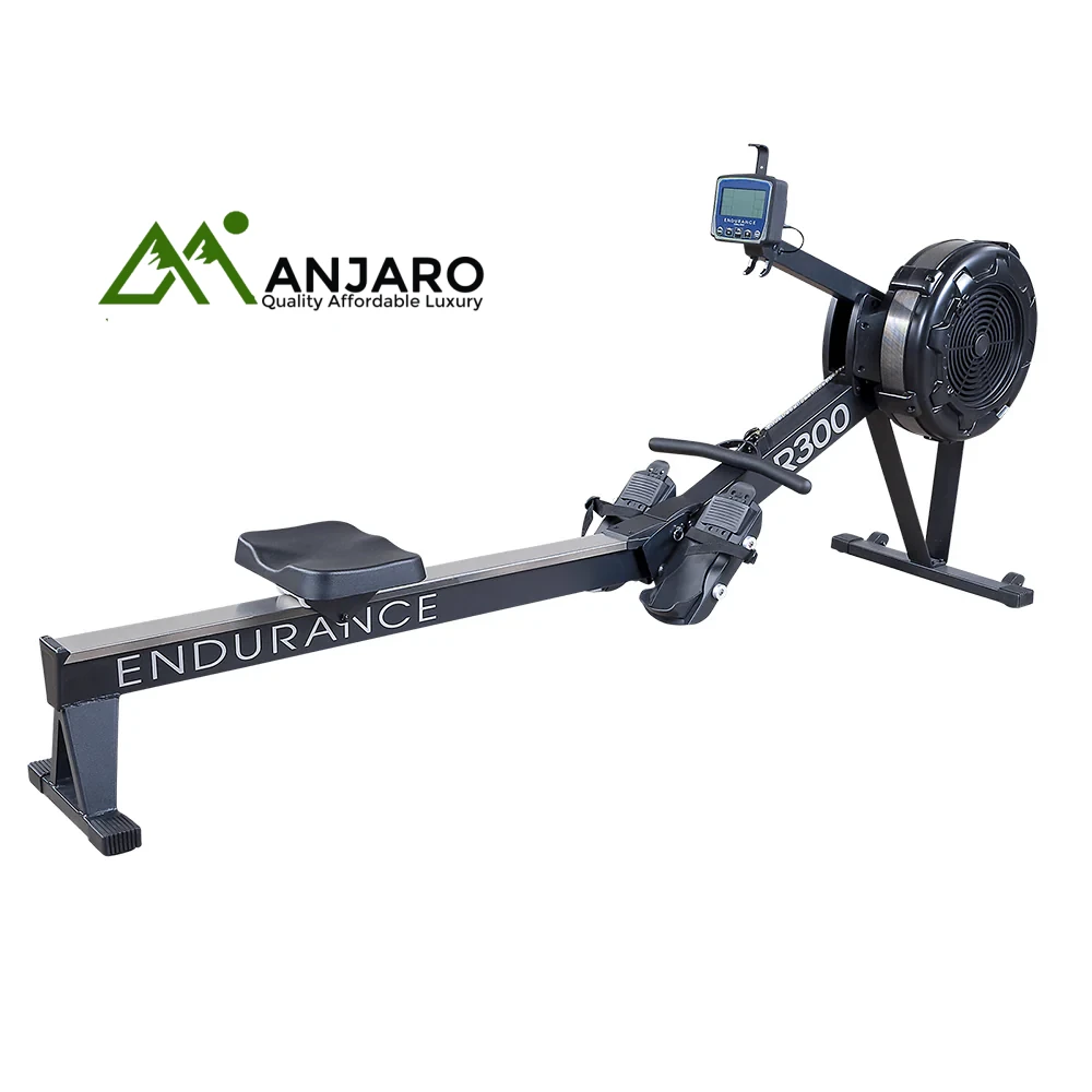 Endurance Air Rower