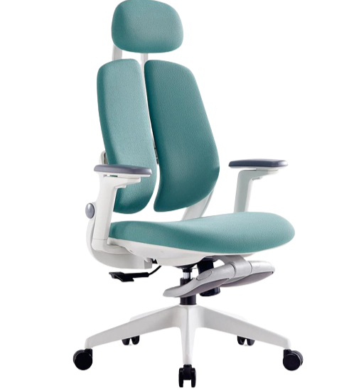 Ergonomic Mesh Office Chair – Movable Mesh Back, PP Headrest & 2D Armrest (MG-WB-032-A1-BK)