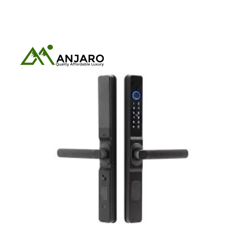 DG15TT Smart Door Lock