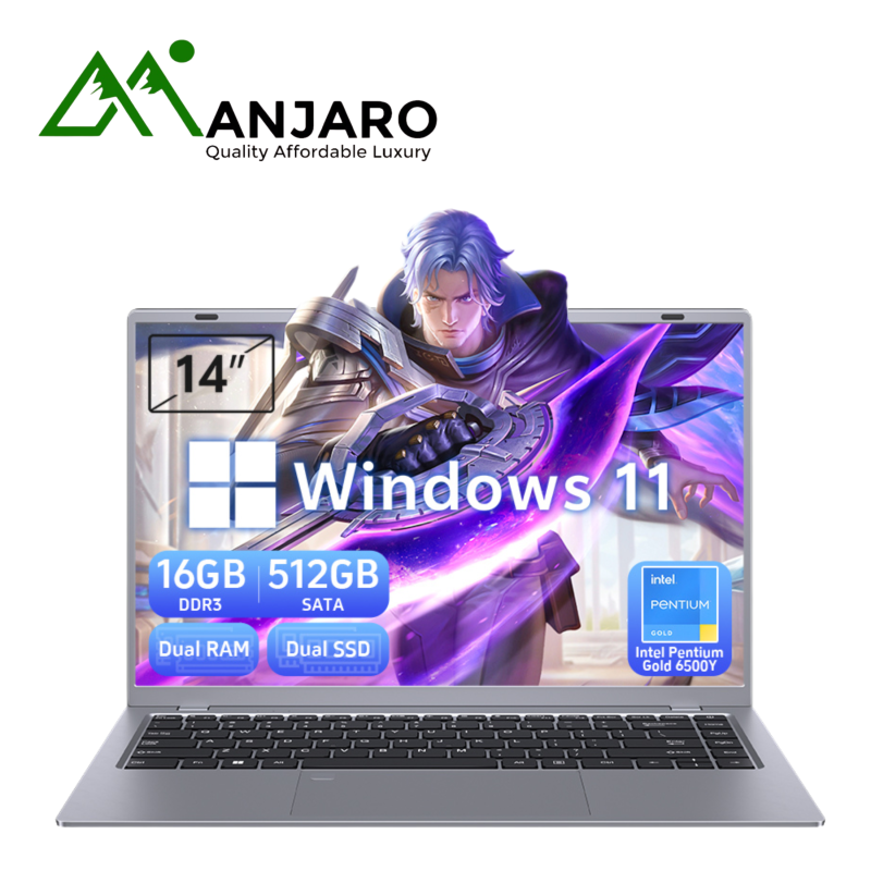 14" Business Laptop Intel Pentium Gold 6500Y (Shipping fee included)