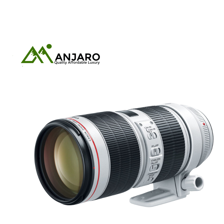 Canon EF 70-200mm f/2.8L IS III USM Lens – Pro-Level Telephoto Zoom, Image Stabilization, Ultra-Fast AF