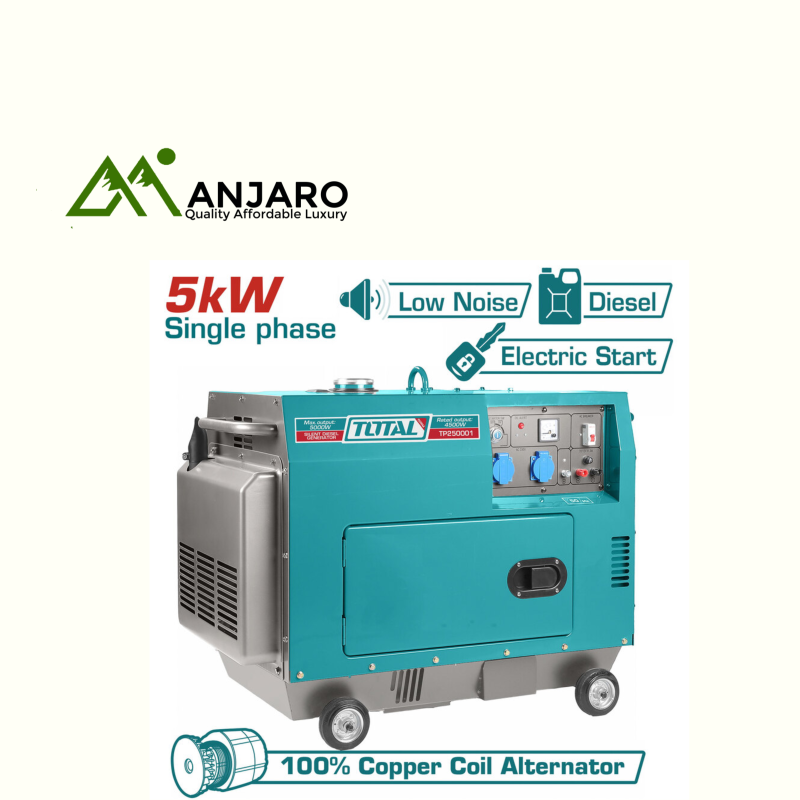 Total Silent diesel generator TP250001