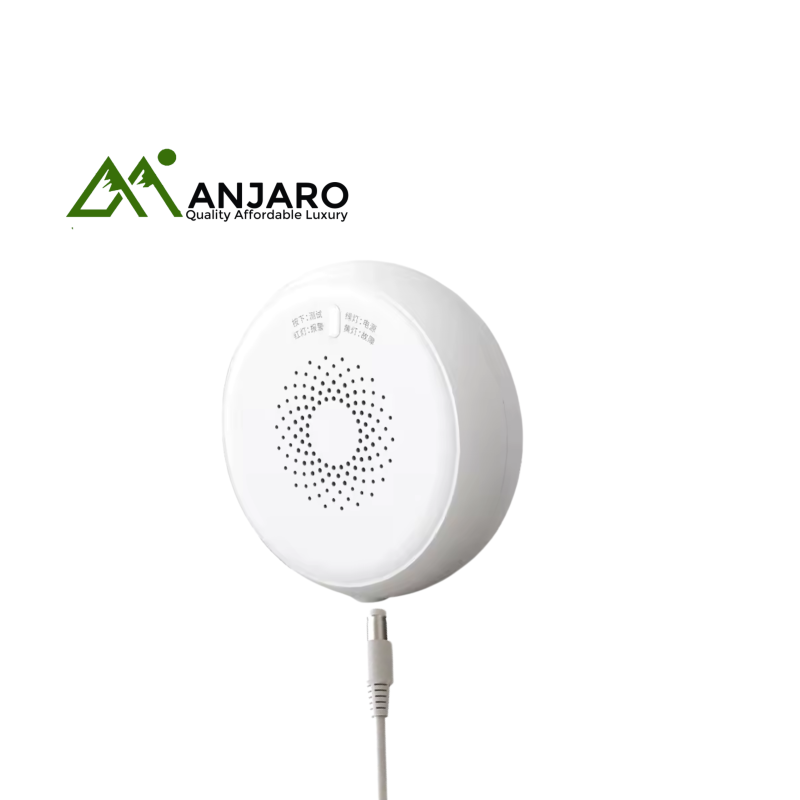 Smart Gas Sensor – Wireless Gas Leak Detector