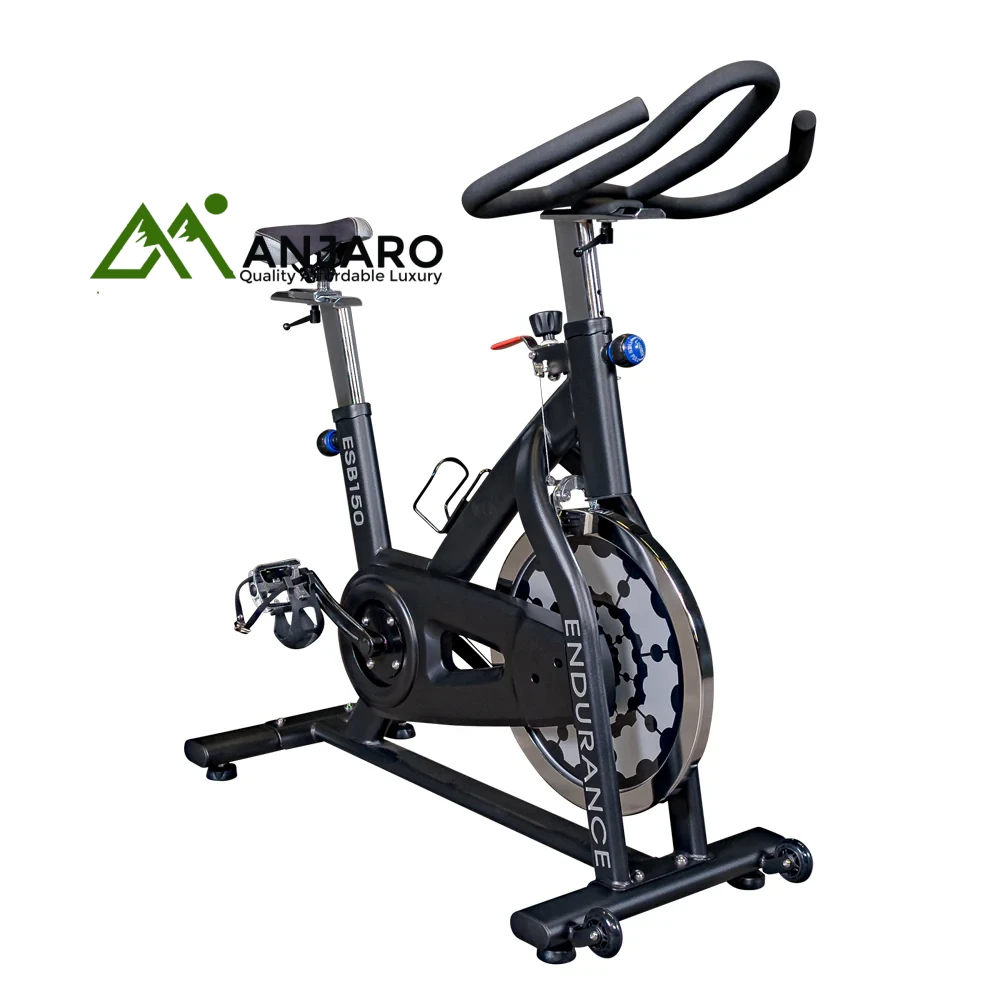 Endurance Indoor Exercise Bike