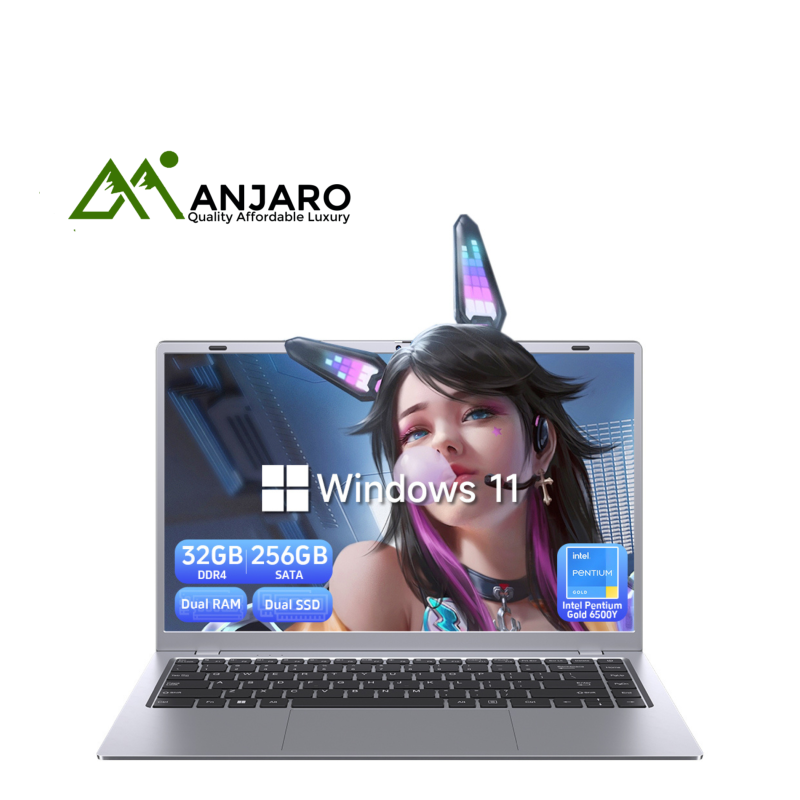 OEM 14-Inch Intel Pentium Gold 6500Y Laptop (Shipping fee included)