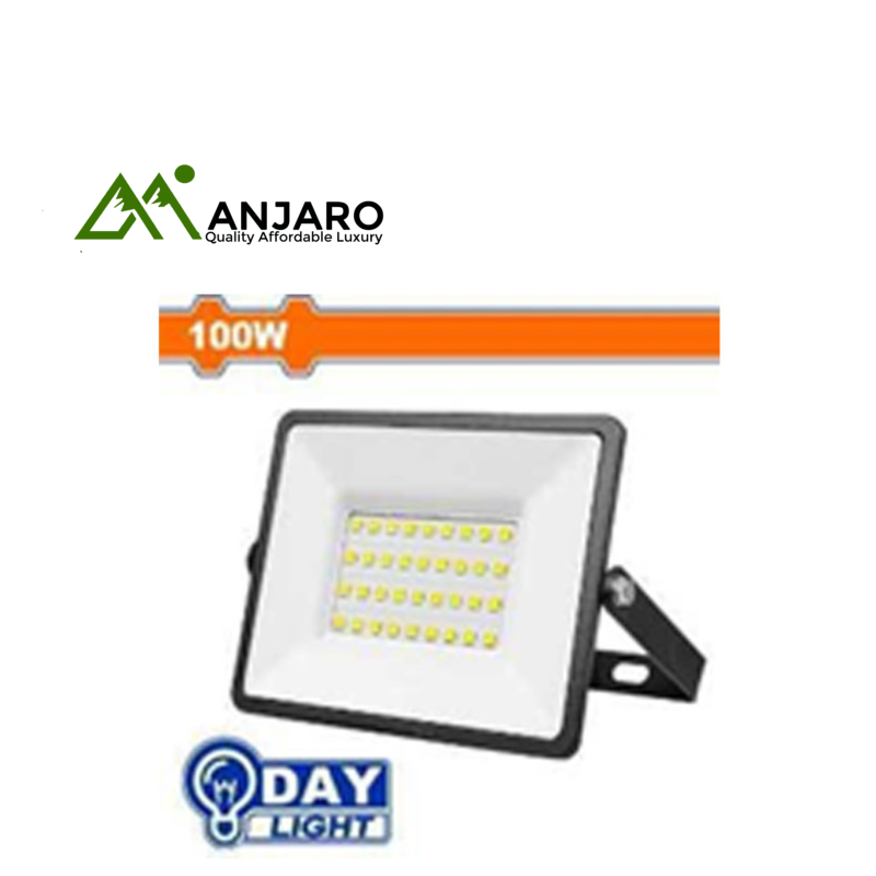 Wadfow 100W LED Floodlight WWX151001