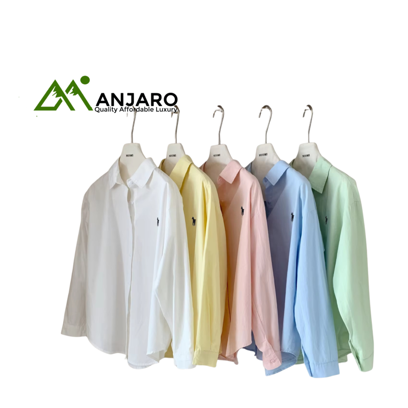 Women’s Daily Long Sleeve Shirt – Turn-Down Collar Korean Loose Vintage Style, Anti-Wrinkle & Quick Dry
