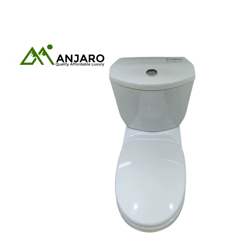 WC 005 Ceramic Toilet – Modern One-Piece Design