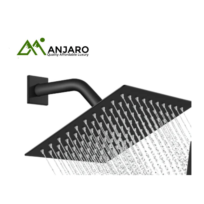 LJ-3 W31 Shower Head – High-Pressure Chrome Handheld Shower