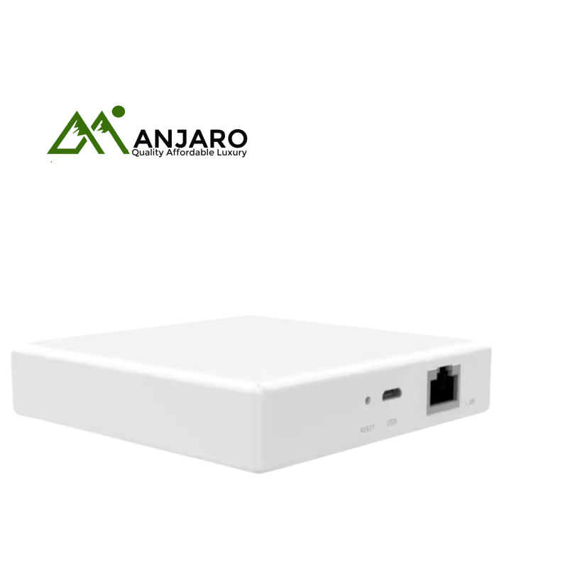Intelligent Zigbee Gateway – Central Hub for Zigbee Smart Devices