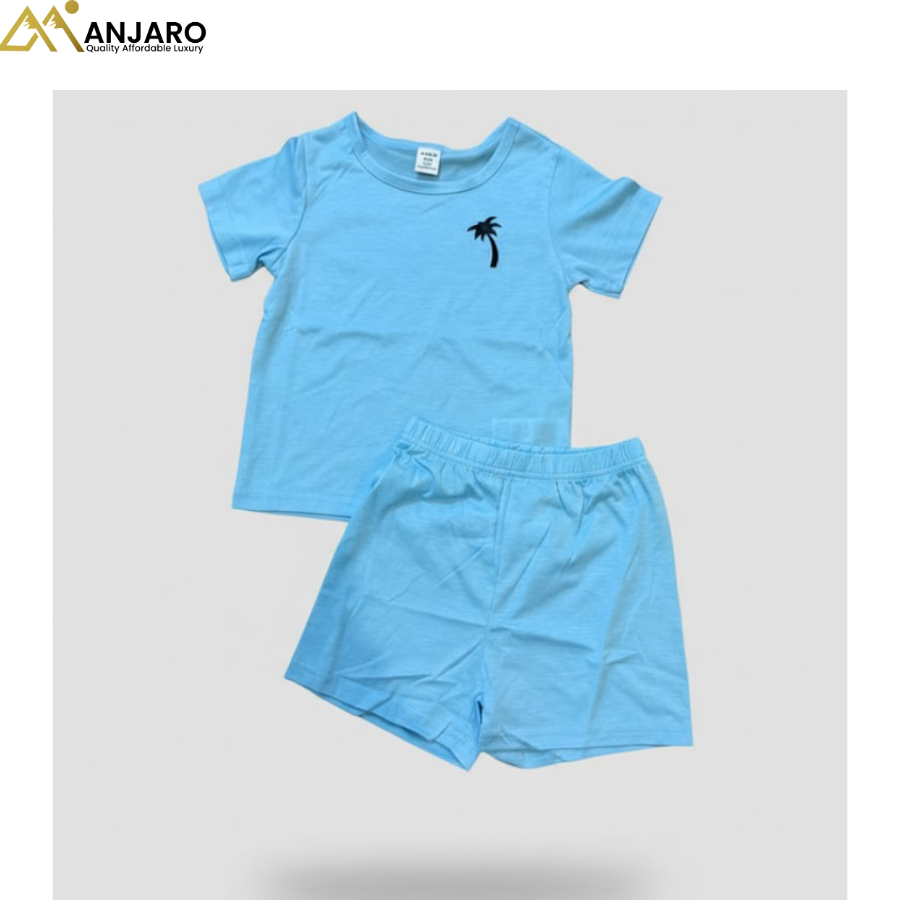 Baby Boy Blue T-Shirt & Shorts Set – 2 Piece Casual Outfit (1–3 Years)