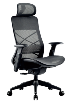Ergonomic Mesh Office Chair with Headrest – Adjustable Lumbar Support & Breathable Design -style-001-A4-BK-1
