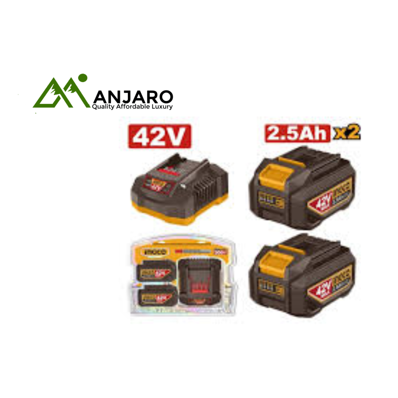 FBCPM25221 Lithium-Ion Battery and Charger Kit 42V – Reliable Power for All P42M Tools