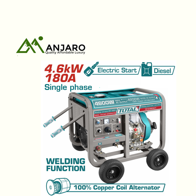 Total Diesel welder generator TP446001 4.6KW