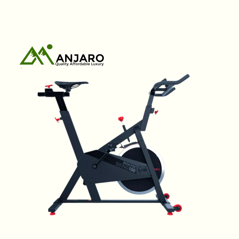 Basic Exercise Bike 100 – Chain Drive Indoor Cycle with 12kg Flywheel, Adjustable Saddle & Console Display